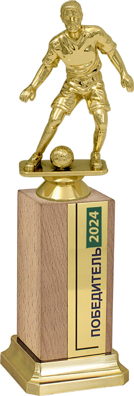 2851-265 Награда Футболист на деревянном бруске 2851-265