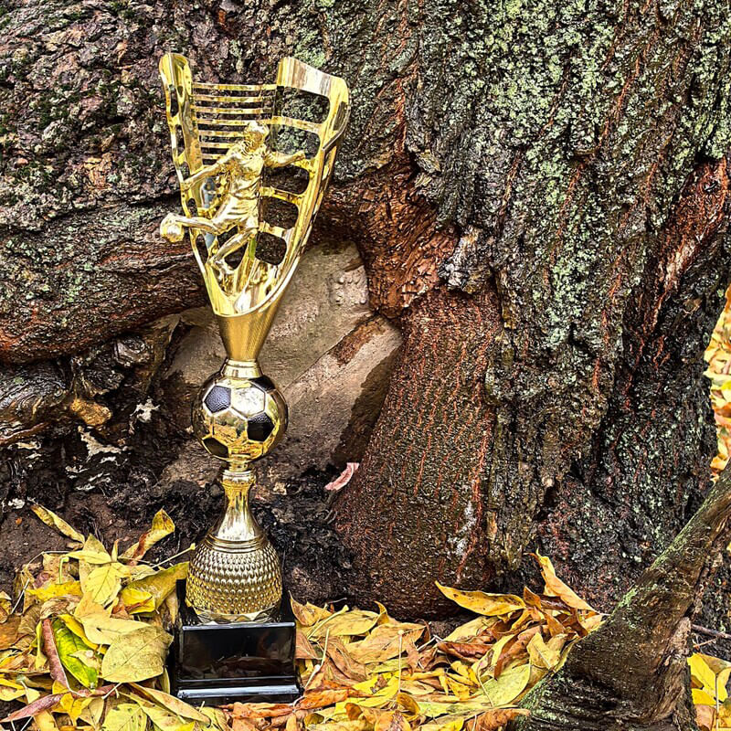 Кубок Бастиан 4835-540-100