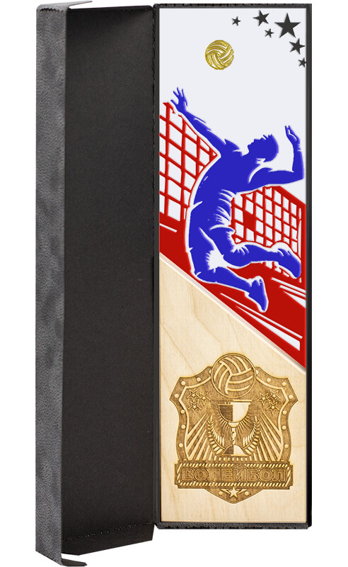 2746-ВОЛ Акриловая награда Волейбол 2746-ВОЛ