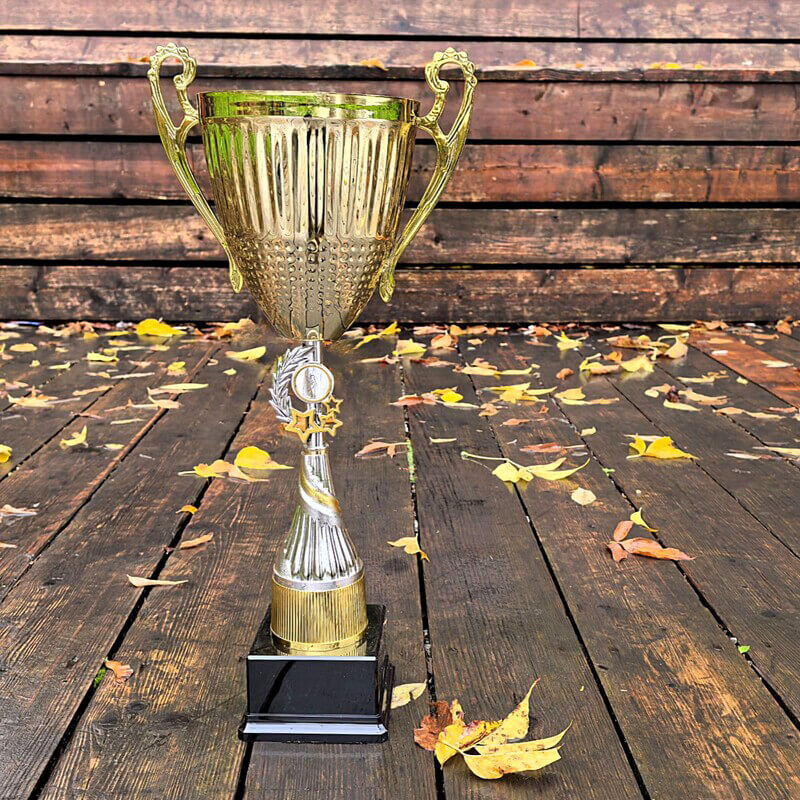 Кубок Кларинда 4762-530-100