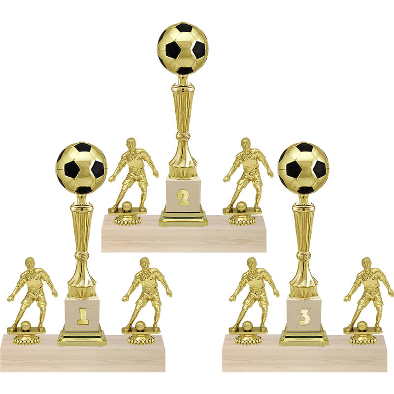 4981-000 Кубок Роберто 1,2,3 место 4981-000