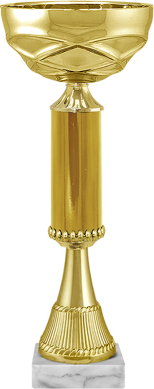 4010-100 Кубок Айран 4010-100