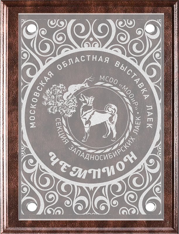 П007-ГР0 Плакетка с акриловым стеклом П007-ГР0