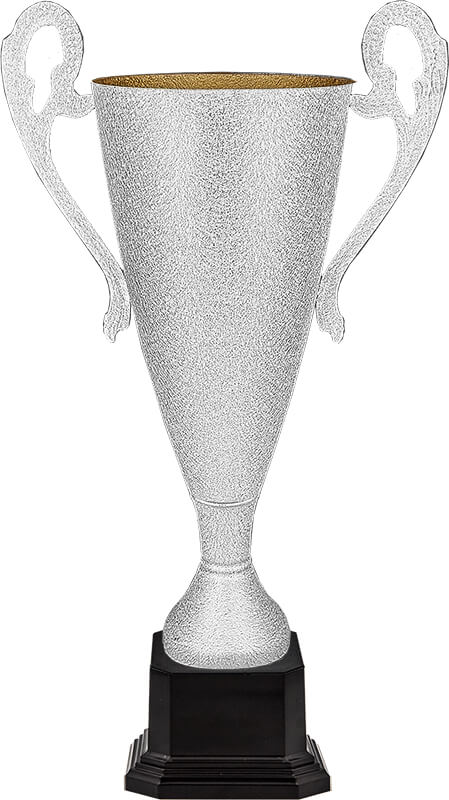 5795-000 Кубок Буран 5795-000