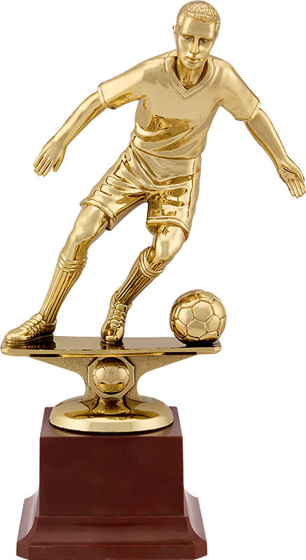 2312-230 Награда Футбол 2312-230