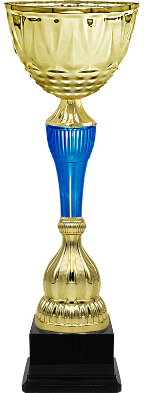 4843-103 Кубок Свирид 4843-103