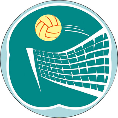 1312-009 Акриловая эмблема волейбол 1312-009