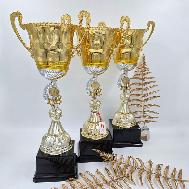 4475-000 Кубок Гюнтер 1,2,3 место 4475-000