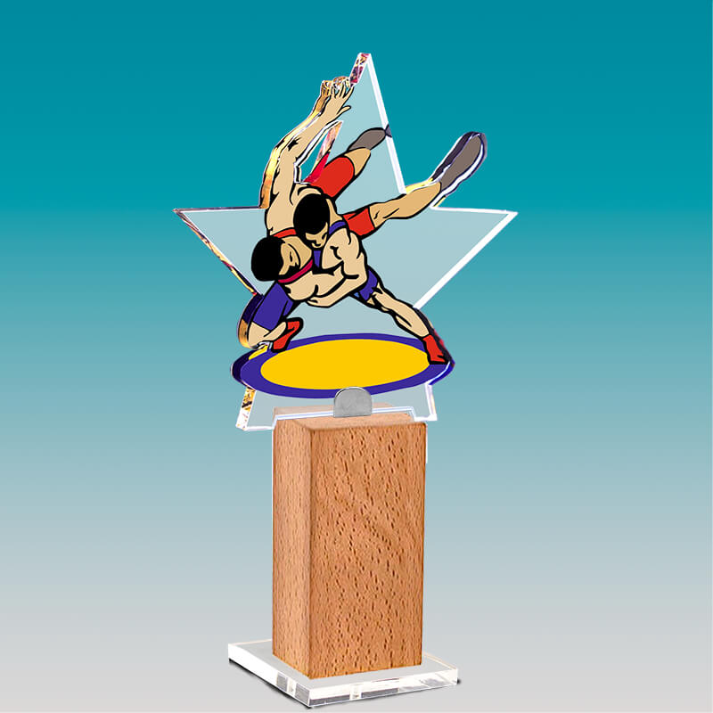 1703-004 Акриловая награда Борьба 1703-004