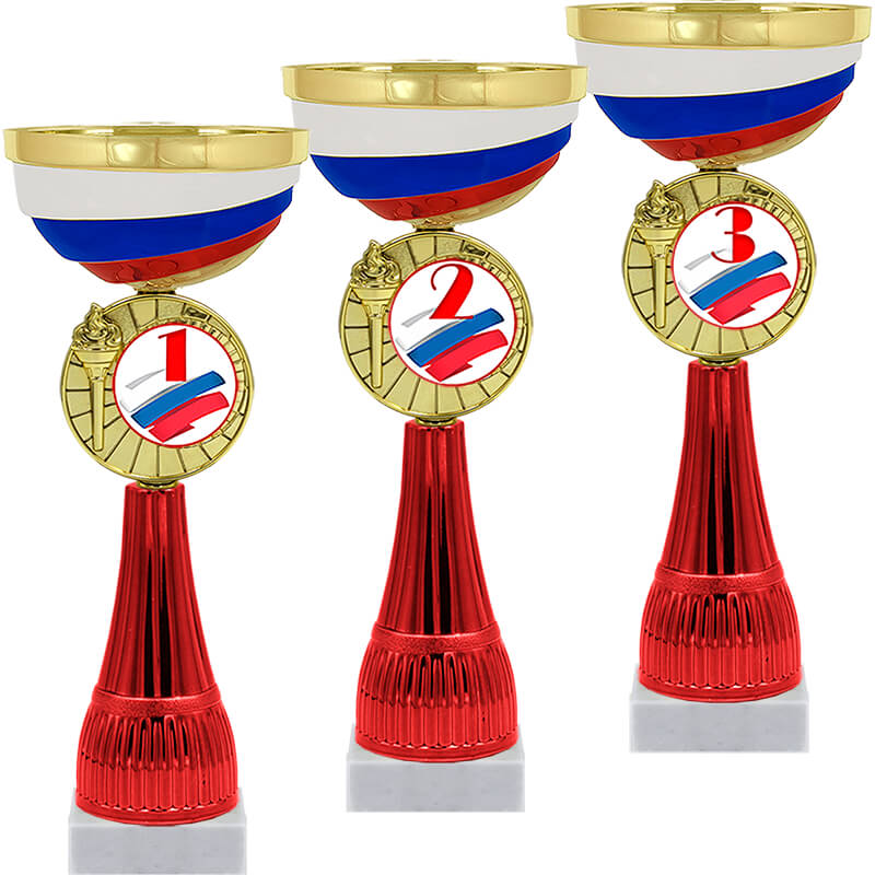 4876-200 Кубок Чапай 1,2,3 место 4876-200