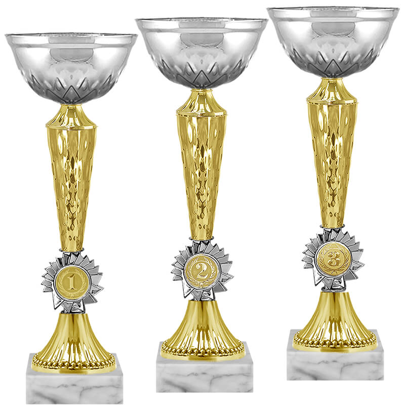 4134-250 Кубок Гриф 1,2,3 место 4134-250