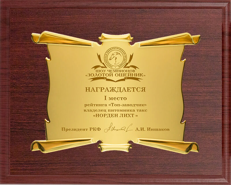 1914-953 Плакетка с дипломом и лазер.гравировкой 1914-953