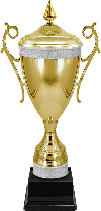 5097-120 Кубок Амурхан 5097-120