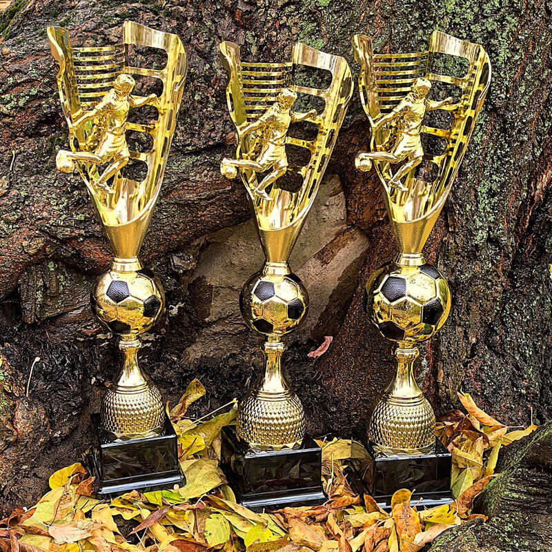 Кубок Бастиан 4835-540-100