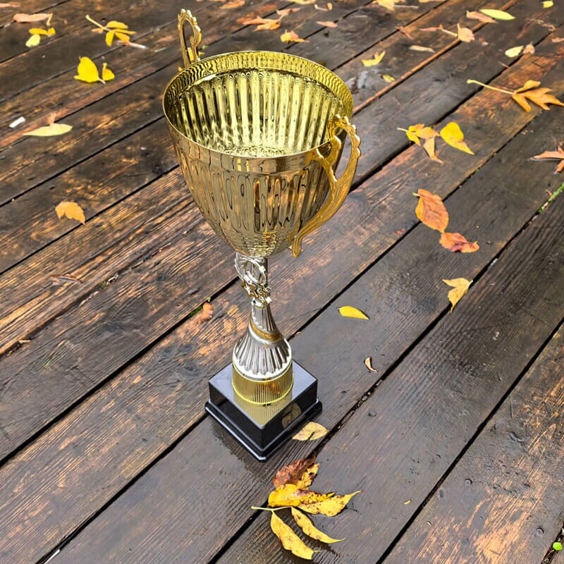 Кубок Кларинда 4762-530-100