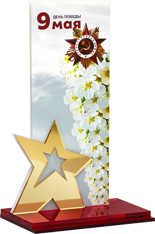 7213-У06 Акриловая награда 