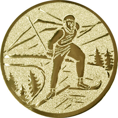 1139-111 Эмблема лыжный спорт 1139-111