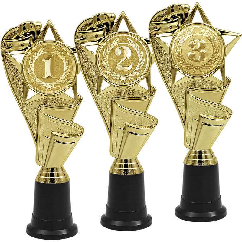 4919-000 Награда 1,2,3 место 4919-000