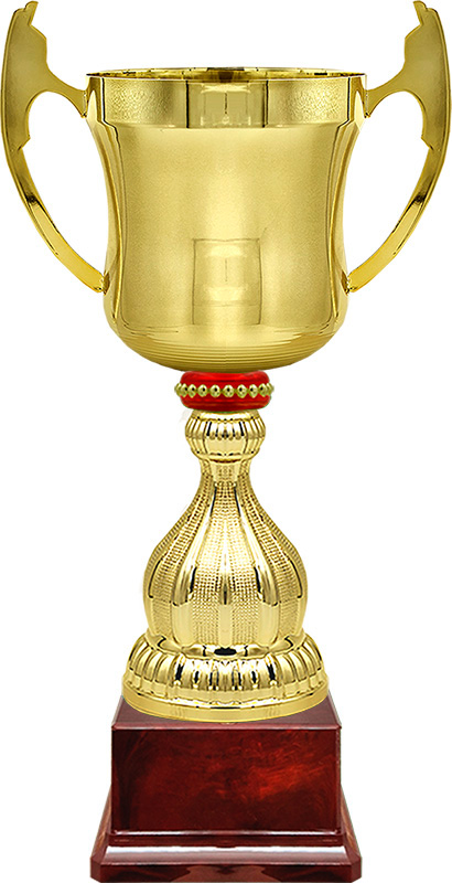 5717-102 Кубок Миклухо 5717-102