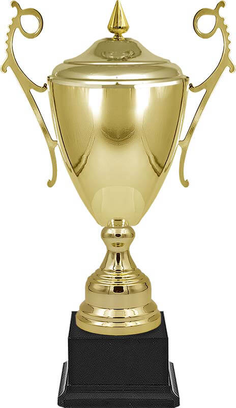 4490-100 Кубки Самрат 4490-100