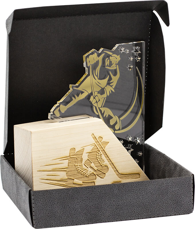 2740-Х00 Акриловая награда Хоккей 2740-Х00
