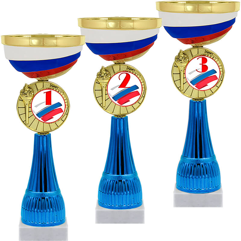 4876-300 Кубок Чапай 1,2,3 место 4876-300