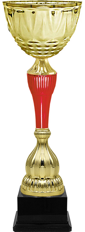 4843-102 Кубок Свирид 4843-102