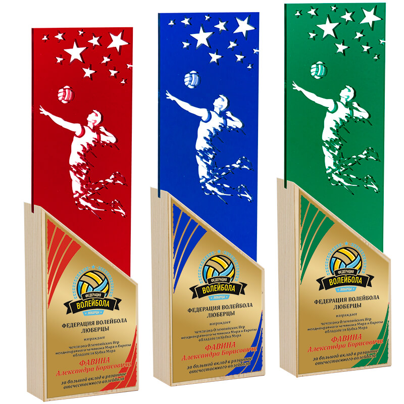2717-СУБ Награда Волейбол с сублимац.печатью 2717-СУБ