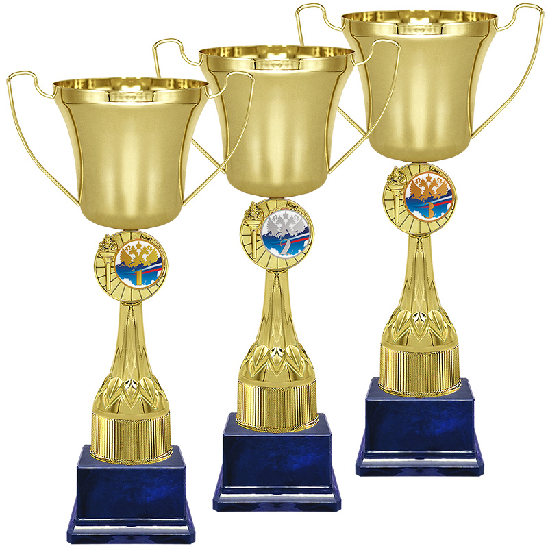 8450-000 Кубок Ванга 1,2,3 место 8450-000