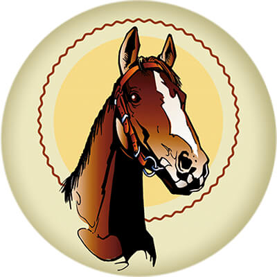 1350-010 Акриловая эмблема конный спорт 1350-010