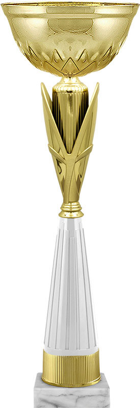 4394-000 Кубок Асель 4394-000
