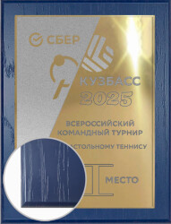 П003-МЕХ-100