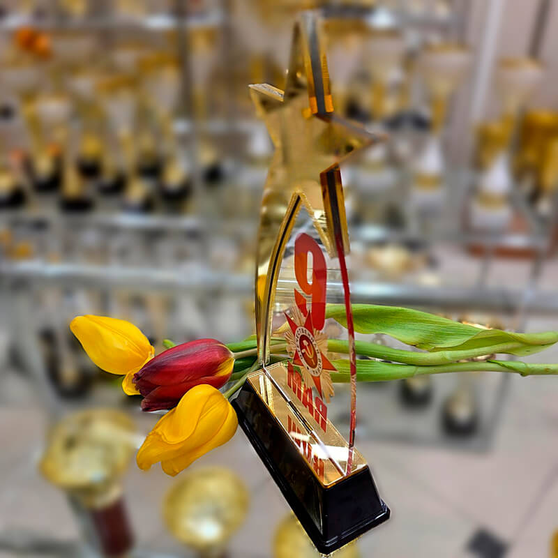 Акриловая награда 9 МАЯ 7213-101-003