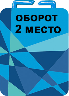 Медаль самбо 2 место (сублимационная печать) 3751-070-С02
