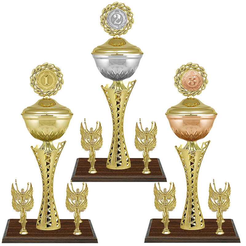 4998-000 Кубок Хилтон 1,2,3 место 4998-000