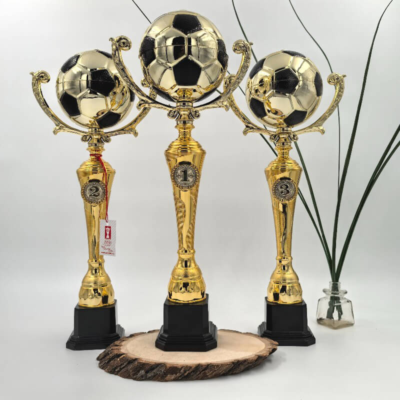 6565-000 Кубок Фабиан 1,2,3 место 6565-000
