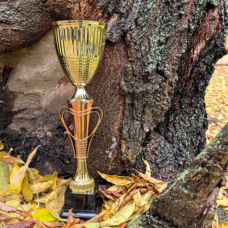 Кубок Тотти 4773-450-300