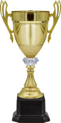 6012-430-100