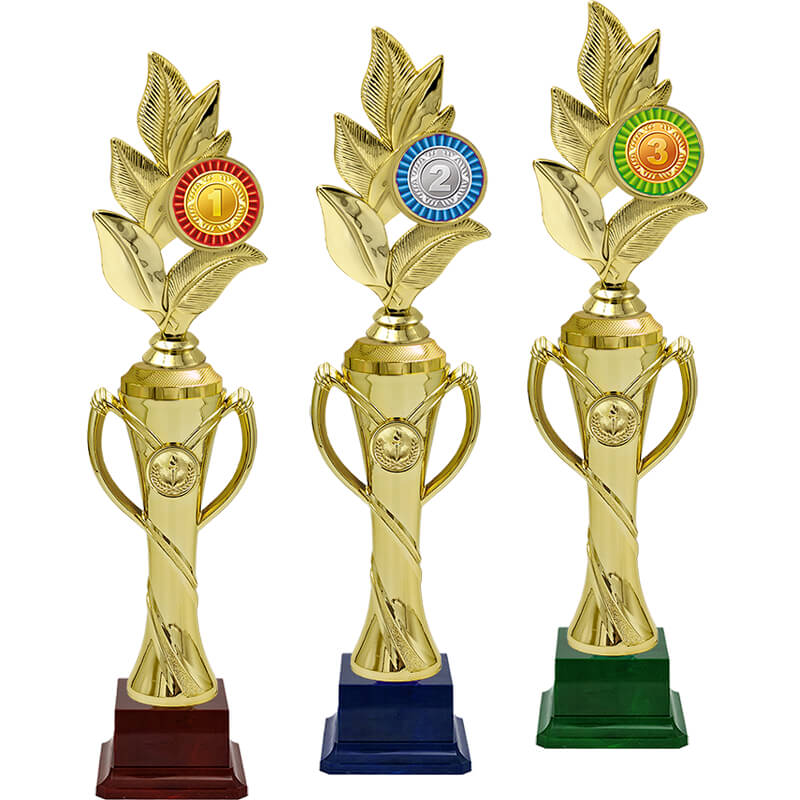 2096-000 Награда 1,2,3 место 2096-000