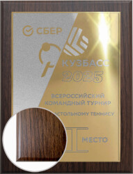 П001-МЕХ-100