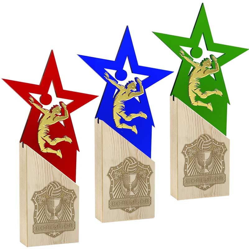 2720-000 Награда Волейбол 2720-000