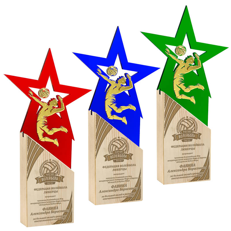 2721-ГР0 Награда Волейбол с гравировкой 2720-ГР0