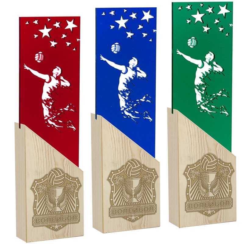 2717-000 Награда Волейбол 2717-000