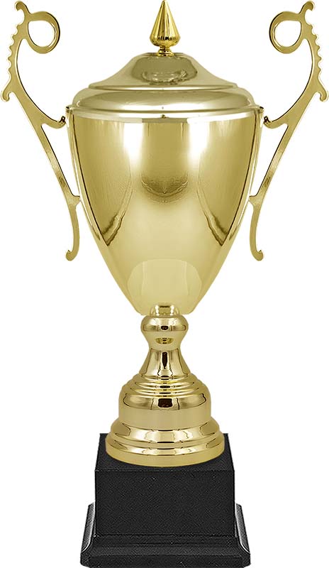 4490-100 Кубки Самрат 4490-100