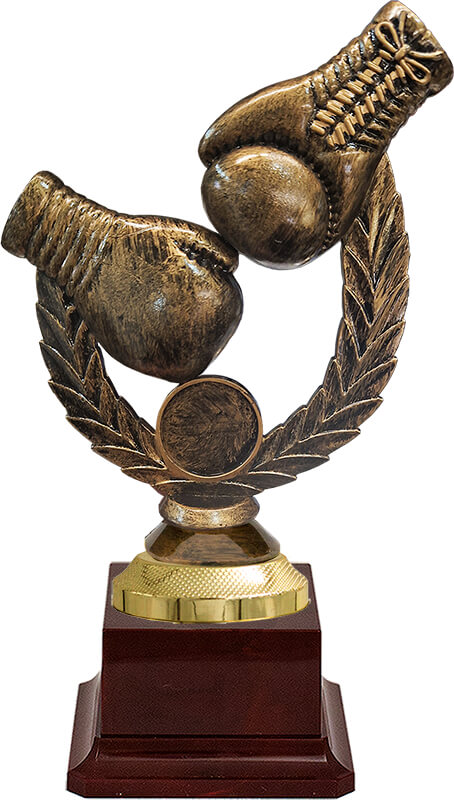 2316-210 Награда Бокс 2316-210