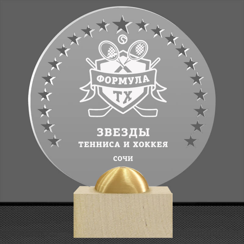 2896-ГР3 Акриловая награда с лазерной гравировкой 2896-ГР3