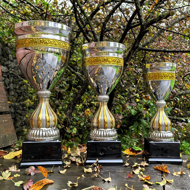 Кубок Фредди 4764-460-210