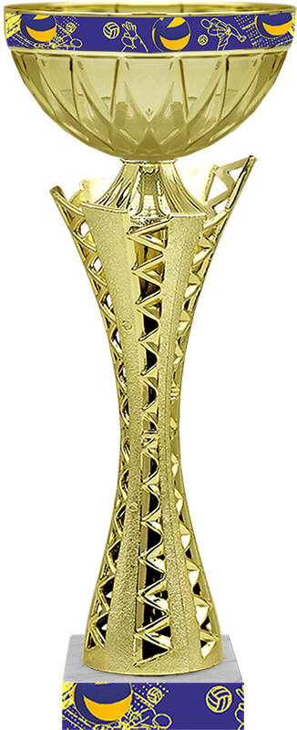 4907-ВОЛ Кубок Мигель (Волейбол) 4907-ВОЛ