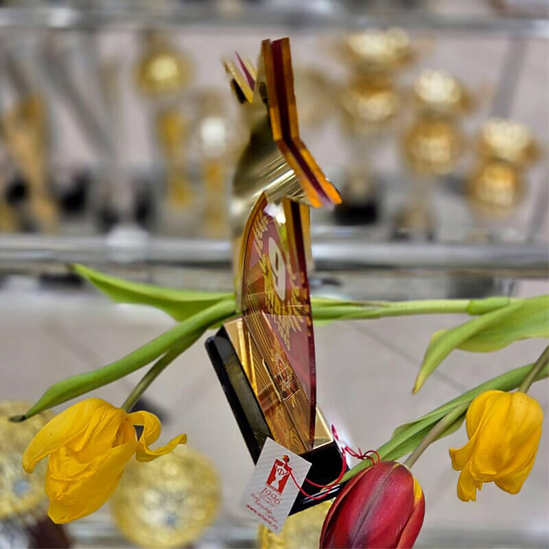 Акриловая награда 9 Мая 1941-1945 7213-101-002