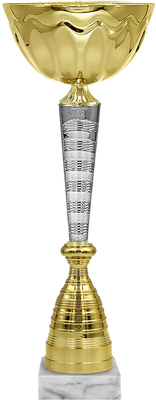 4787-200 Кубок Роден 4787-200